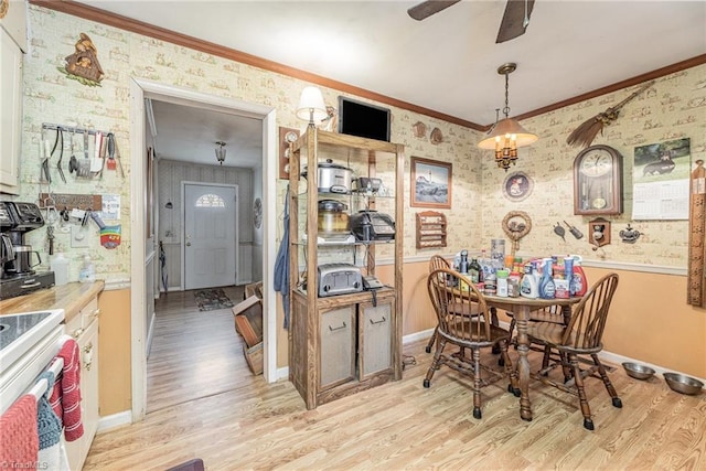 dining space featuring ceiling fan, light hardwood / wood-style flooring, and ornamental molding