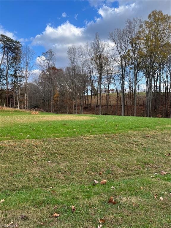 8004 Willow Glen Trl, Greensboro NC, 27455 land for sale