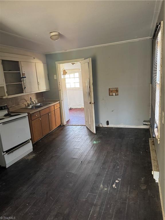 kitchen with sink, dark hardwood / wood-style flooring, crown molding, and white electric range oven