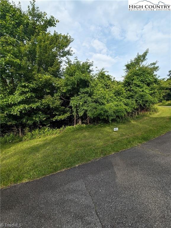 Listing photo 3 for LOT4 Briarwood Ln, Sparta NC 28675