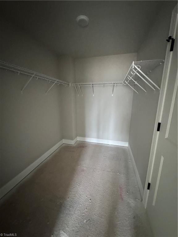 view of spacious closet