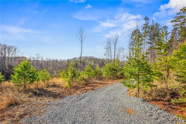 view of road featuring a wooded view