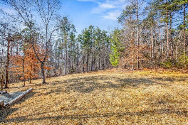 view of yard featuring a wooded view