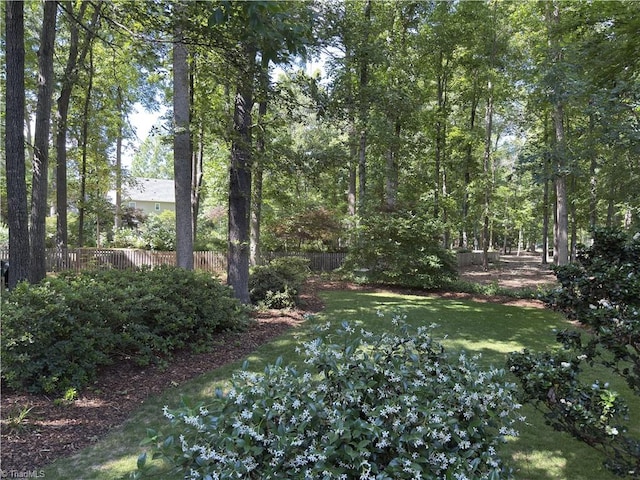 606 Dorado Cir, High Point, NC 27265 - view of yard