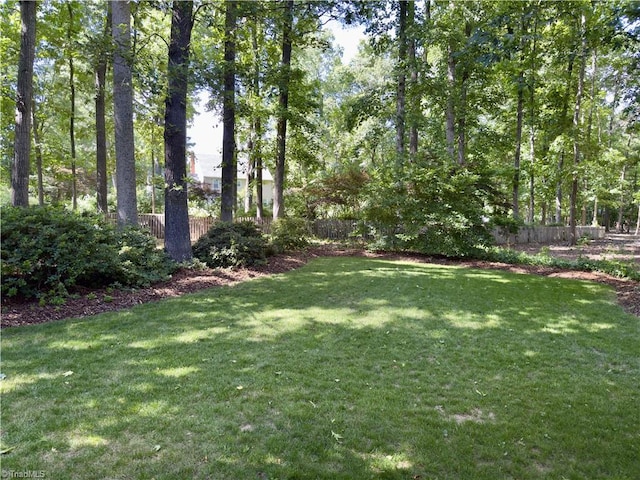 606 Dorado Cir, High Point, NC 27265 - view of yard