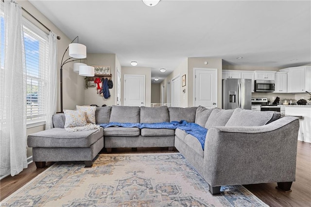 living room with wood-type flooring