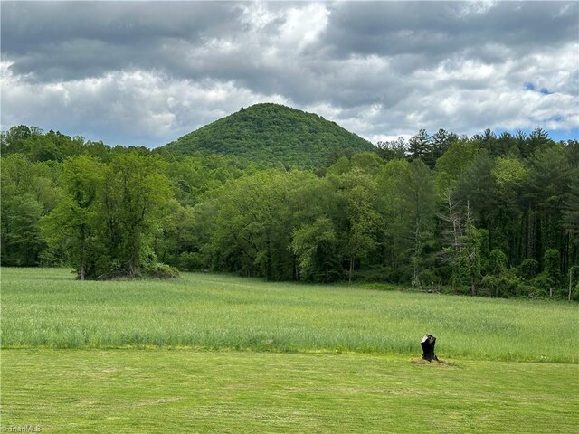 813 Blevins Store Rd, Mount Airy, NC 27030 - view of mountain background with a heavily wooded area