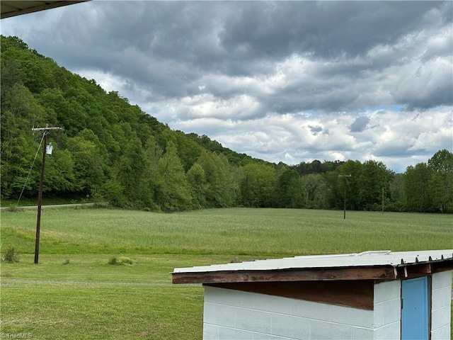 813 Blevins Store Rd, Mount Airy, NC 27030 - view of grassy yard with a wooded view