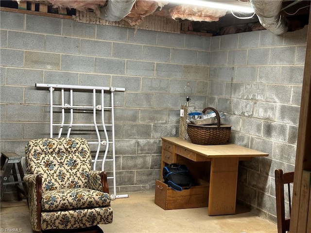 813 Blevins Store Rd, Mount Airy, NC 27030 - unfinished basement with concrete block wall