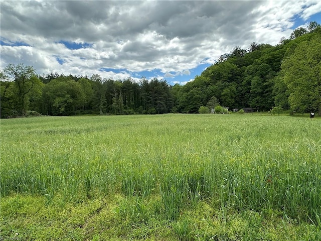 813 Blevins Store Rd, Mount Airy, NC 27030 - view of wooded area
