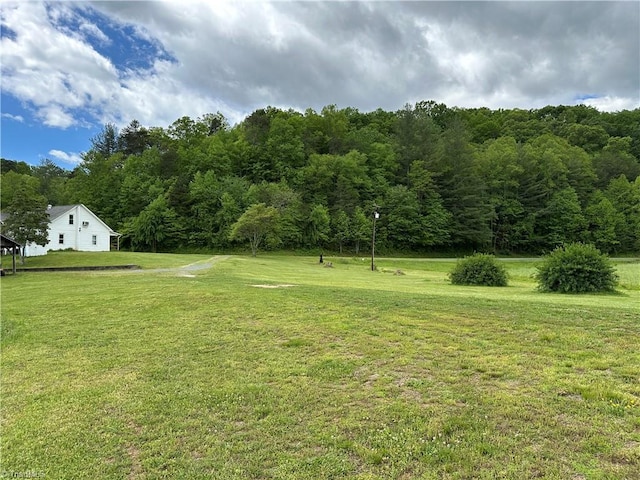 813 Blevins Store Rd, Mount Airy, NC 27030 - view of green lawn featuring a view of trees