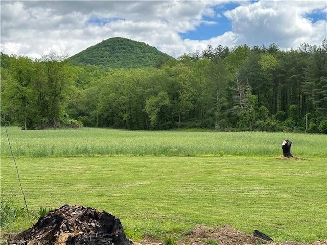 813 Blevins Store Rd, Mount Airy, NC 27030 - view of mountain backdrop with a forest
