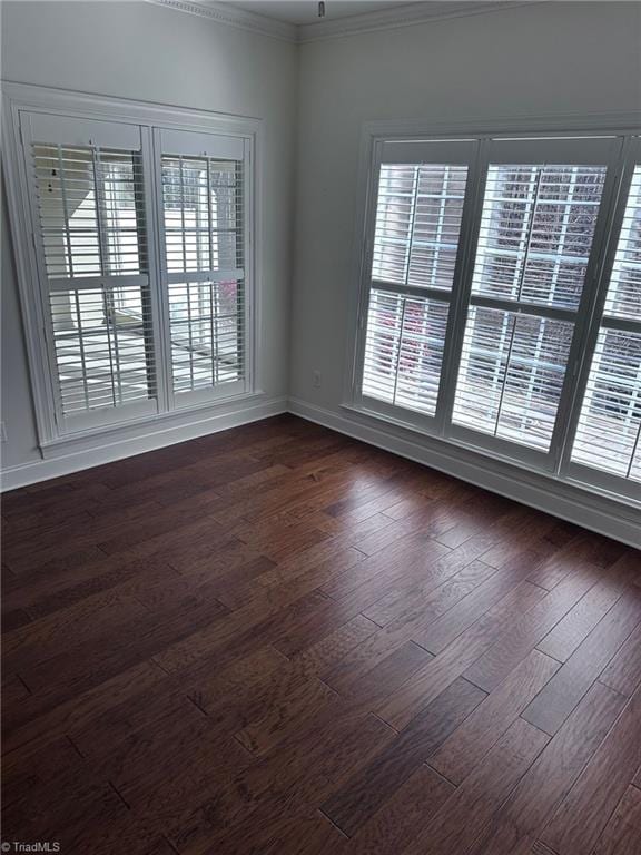 empty room with crown molding and dark wood-type flooring