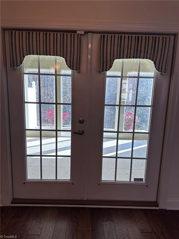 doorway with dark hardwood / wood-style floors and a wealth of natural light