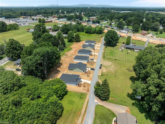 3145 Chapel St, Walkertown, NC 27051 - aerial overview of property's location