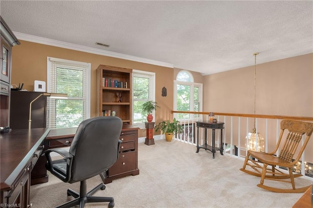 6516 Dornoch Dr, Greensboro, NC 27410 - office space with a textured ceiling, plenty of natural light, crown molding, light carpet, and baseboards