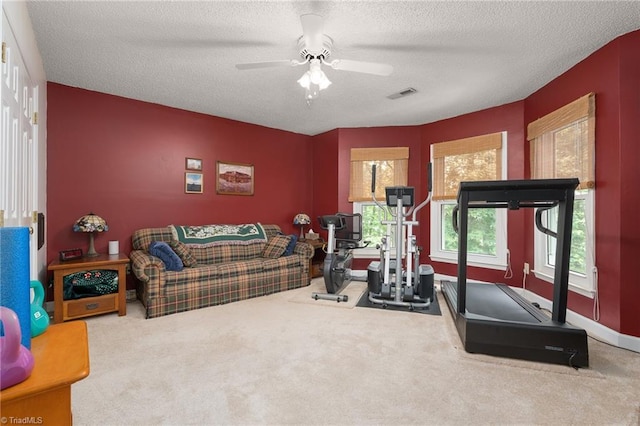 6516 Dornoch Dr, Greensboro, NC 27410 - exercise area featuring a textured ceiling, ceiling fan, and carpet