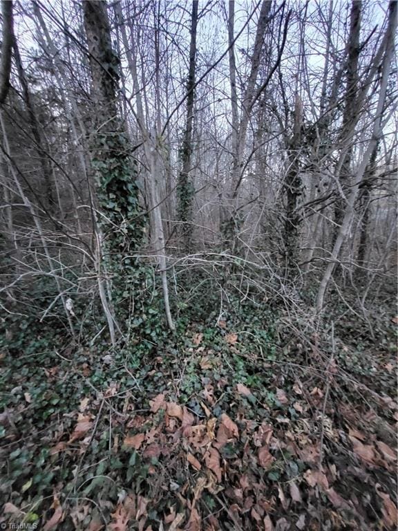 Listing photo 3 for TBD Swaim St, North Wilkesboro NC 28659