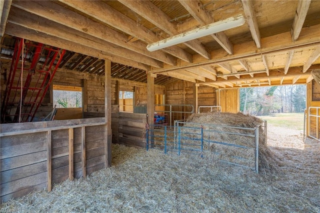 view of horse barn