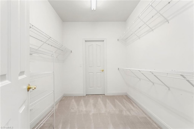 spacious closet with carpet flooring