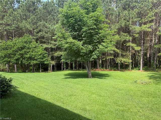 1024 Lone Hickory Rd, Yadkinville, NC 27055 - view of green lawn featuring a view of trees