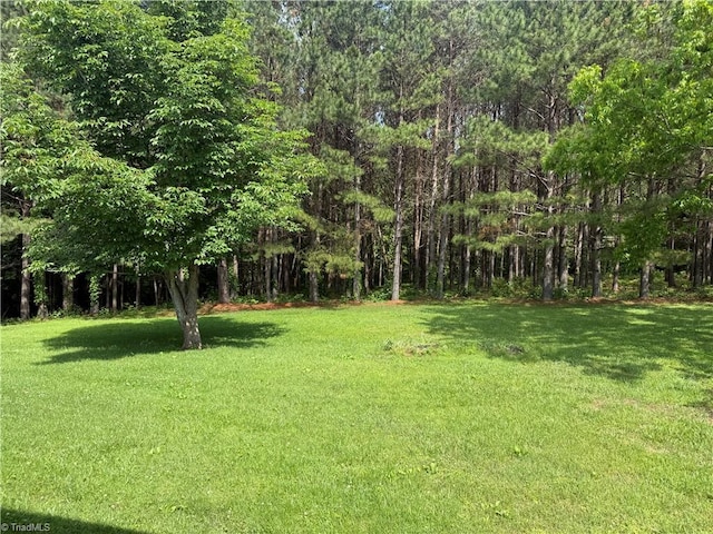 1024 Lone Hickory Rd, Yadkinville, NC 27055 - view of green lawn with a view of trees