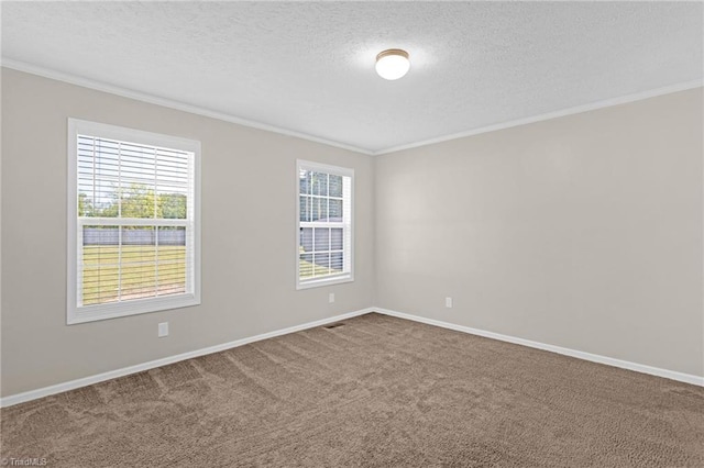 carpeted empty room featuring crown molding and a textured ceiling