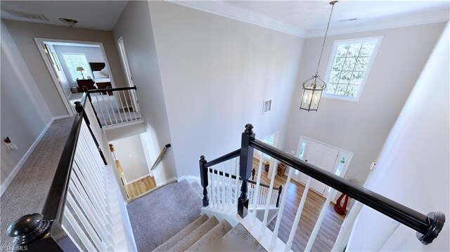 staircase featuring carpet floors, ornamental molding, and a towering ceiling