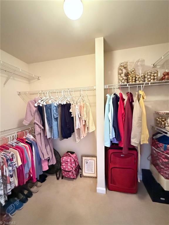 spacious closet featuring carpet