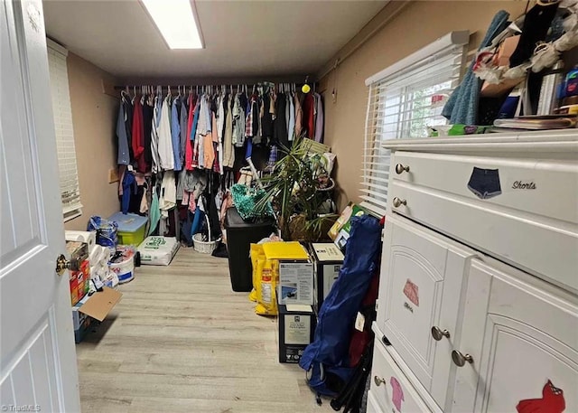 walk in closet with light wood-type flooring