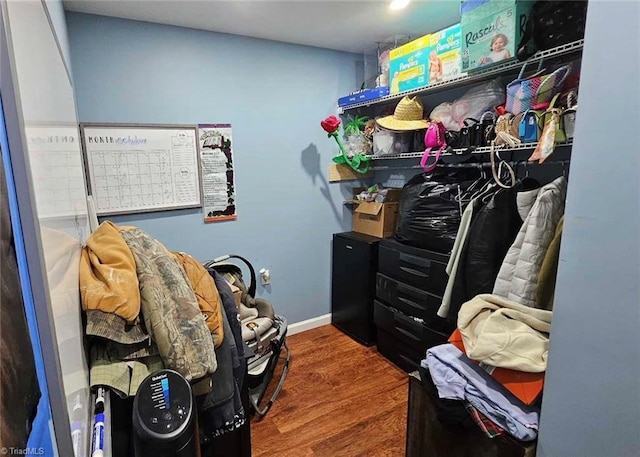 spacious closet with hardwood / wood-style floors and mail boxes