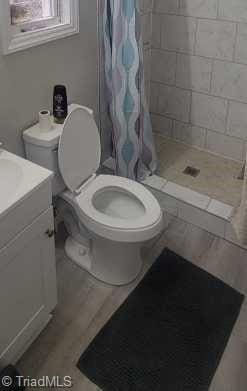 bathroom with vanity, toilet, and curtained shower