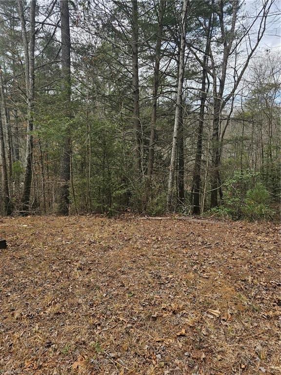 Listing photo 3 for LOT11 Linda Carol Ave, Wilkesboro NC 28697