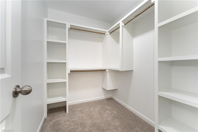 512 Guilford Ave, High Point, NC 27262 - walk in closet with carpet