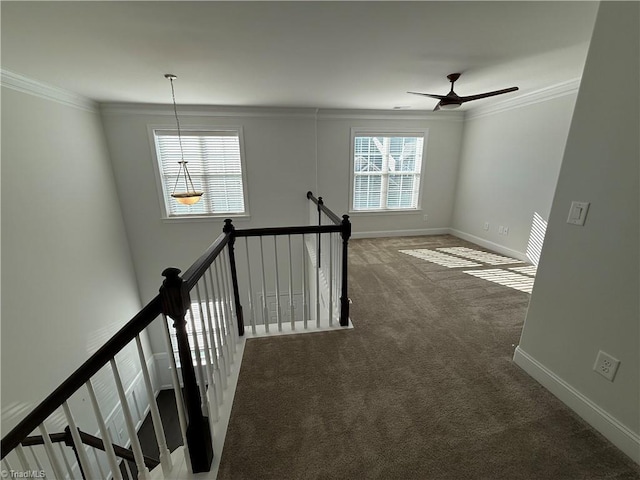 hall featuring crown molding, dark carpet, and a healthy amount of sunlight