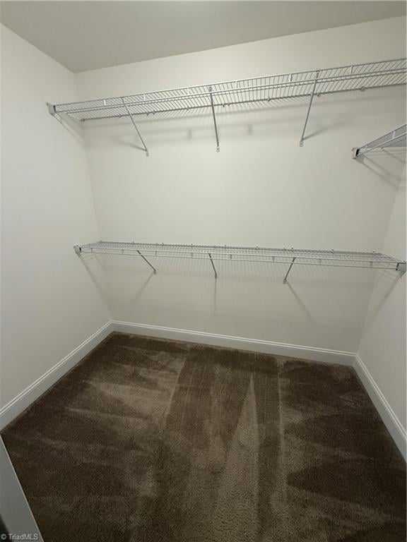 walk in closet with dark carpet