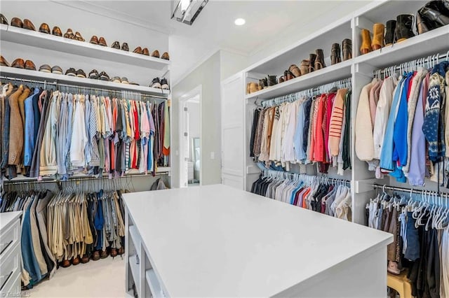 view of spacious closet