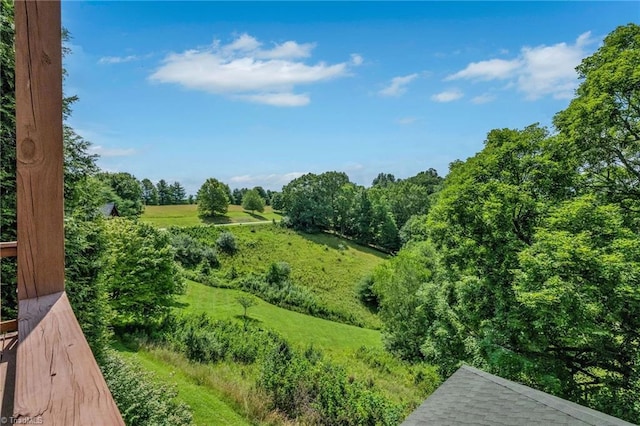240 Deer Knoll Dr, Piney Creek, NC 28663 - view of yard