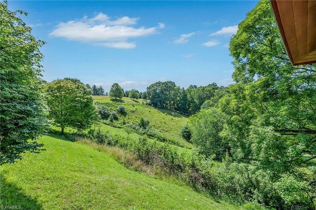 240 Deer Knoll Dr, Piney Creek, NC 28663 - view of yard
