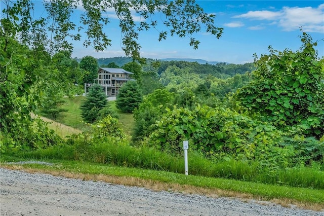 240 Deer Knoll Dr, Piney Creek, NC 28663 - view of mountain background featuring a forest