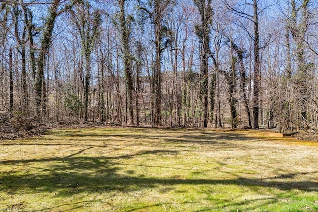 view of yard featuring a forest view