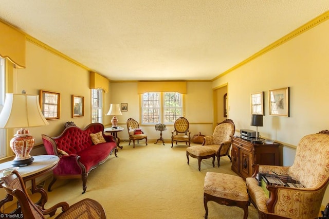 living area with baseboards, carpet, ornamental molding, and a textured ceiling