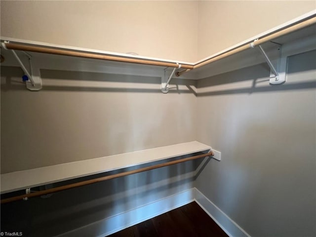 walk in closet featuring dark hardwood / wood-style flooring