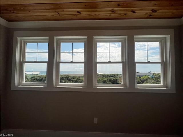 spare room featuring a healthy amount of sunlight and wood ceiling