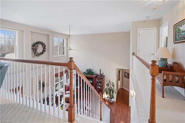 staircase featuring a healthy amount of sunlight