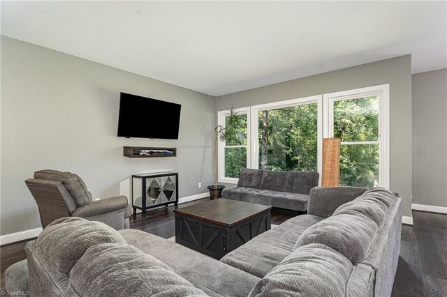 817 Jefferson Rd, Greensboro, NC 27410 - living area with baseboards, plenty of natural light, and dark wood-style floors