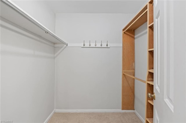 walk in closet featuring light colored carpet