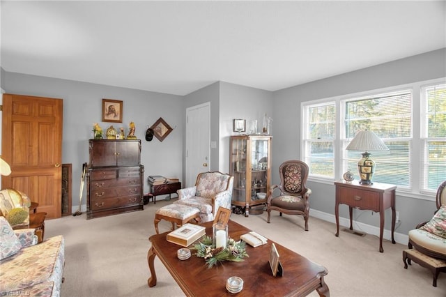 living room with light carpet