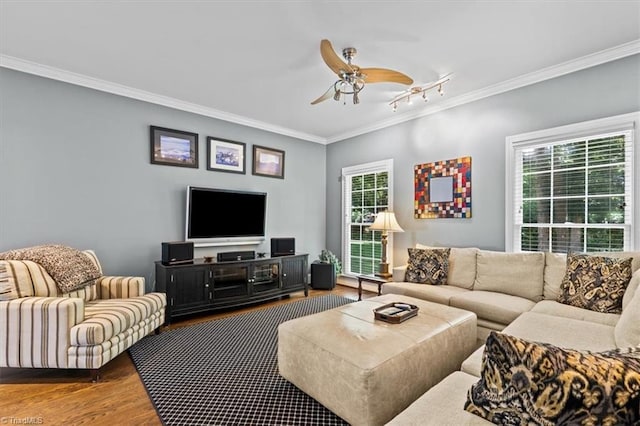 1905 Regents Park Ln, Greensboro, NC 27455 - living area featuring wood finished floors, ornamental molding, ceiling fan, and rail lighting