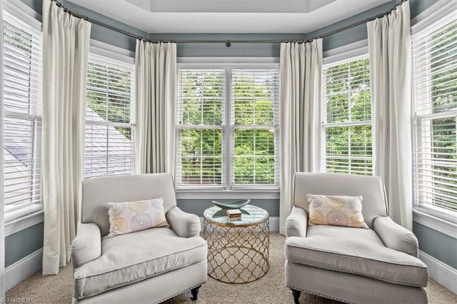1905 Regents Park Ln, Greensboro, NC 27455 - living area featuring carpet floors, baseboards, and healthy amount of natural light